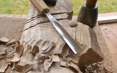 La trousse à outil du sculpteur sur bois PDF
