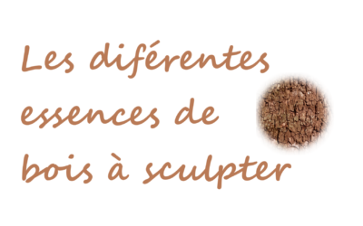 Quelles essences de bois choisir pour sculpter ?