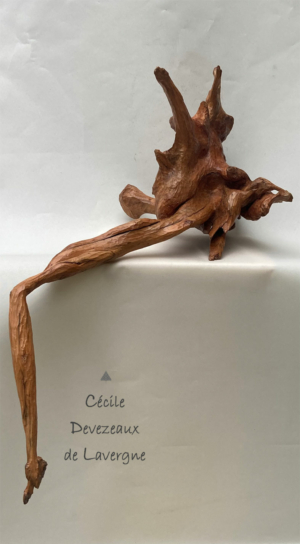 111-La-Métamorphose,-Racine-de-Cade,-50cm,-2025-cdl-web-1
