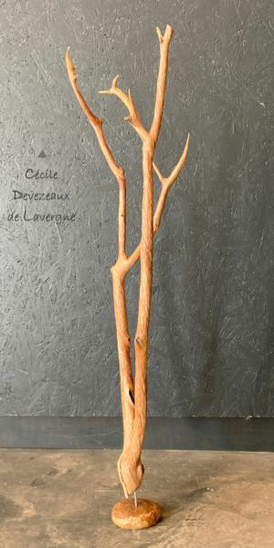 98-Les-Synchronicités,-Arbousier,-85cm,-2024-cdl-web-3