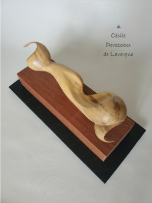 32-La-Graine,-Pamplemoussier,-2016-1