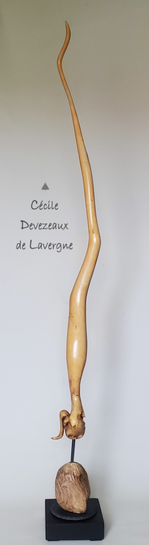 32-La-Graine,-Pamplemoussier,-2016-Cdl-Web-1